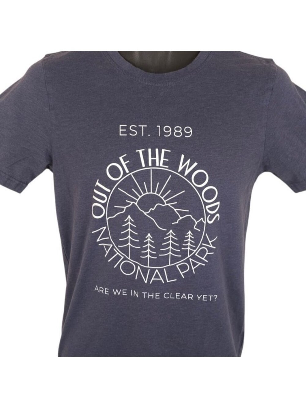 Out Of The Woods T Shirt Mens Size Small Blue National Park Travel Destination